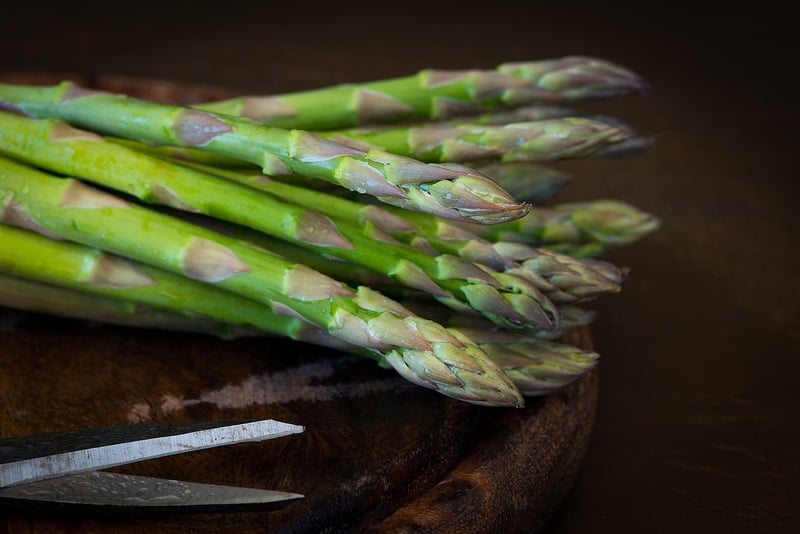 Food Photography